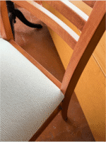 MELINA 5 - Imagen 17